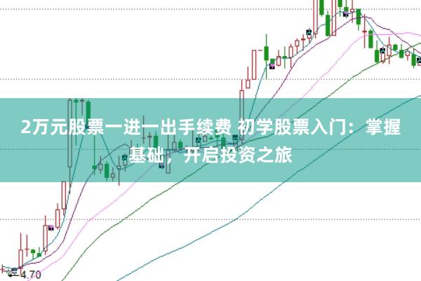 2万元股票一进一出手续费 初学股票入门：掌握基础，开启投资之旅