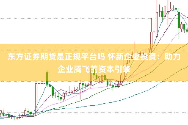 东方证券期货是正规平台吗 怀新企业投资：助力企业腾飞的资本引擎