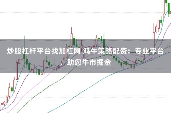 炒股杠杆平台找加杠网 鸿牛策略配资：专业平台，助您牛市掘金