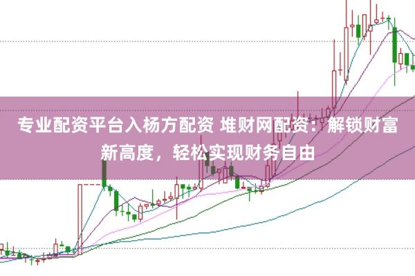 专业配资平台入杨方配资 堆财网配资：解锁财富新高度，轻松实现财务自由