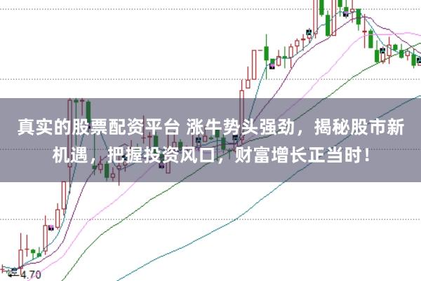 真实的股票配资平台 涨牛势头强劲，揭秘股市新机遇，把握投资风口，财富增长正当时！