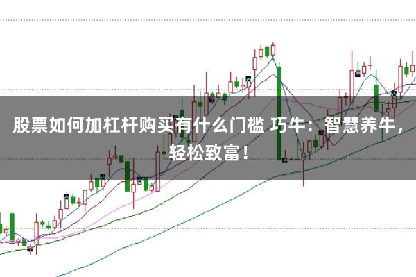 股票如何加杠杆购买有什么门槛 巧牛：智慧养牛，轻松致富！